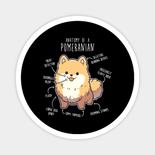 Orange Pomeranian Dog Anatomy Magnet